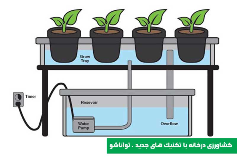 جدیدترین کسب و کار خانگی