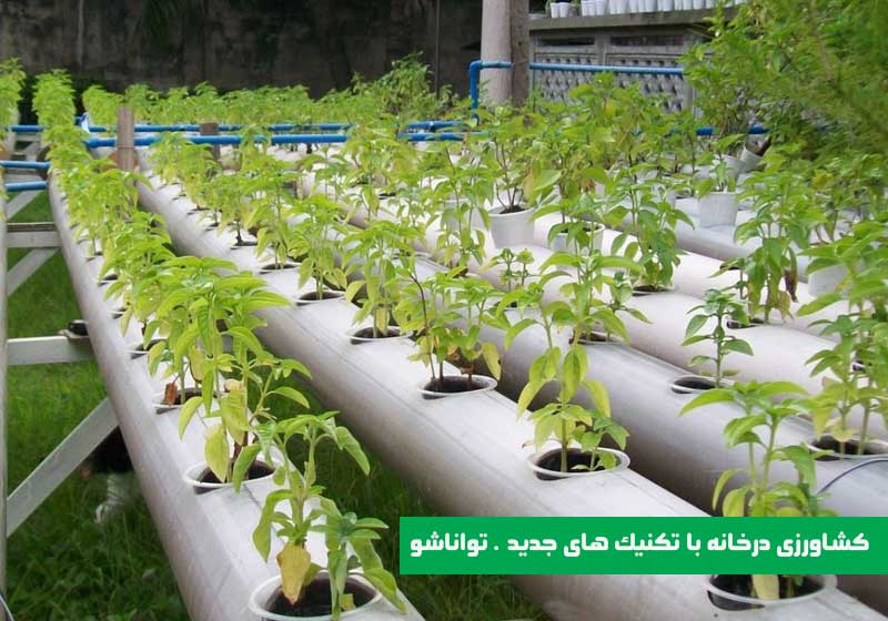 جدیدترین کسب و کار خانگی