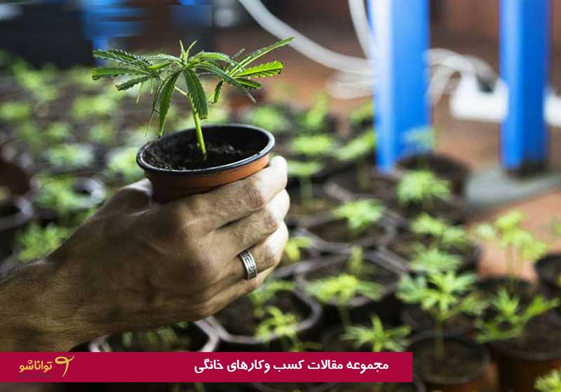 کسب و کار خانگی آسان