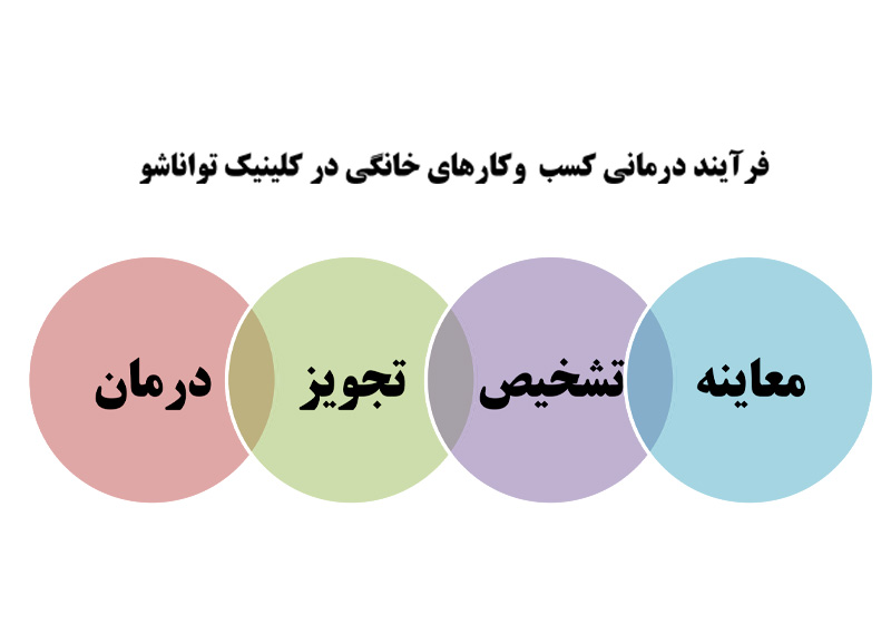 کلینیک کسب و کار خانگی تواناشو